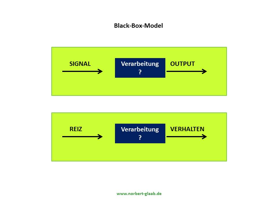 black-box-model